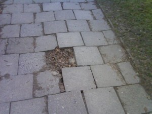 dziura w chodniku